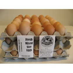 Ten Trays of Free Range Eggs - Free Delivery