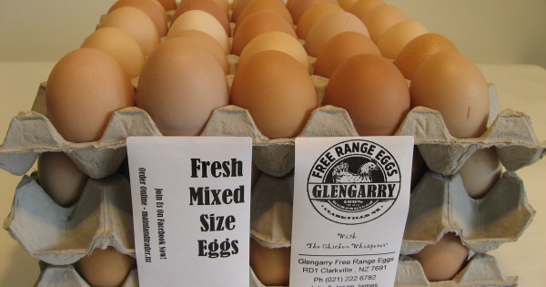 Three Trays of Free Range Eggs