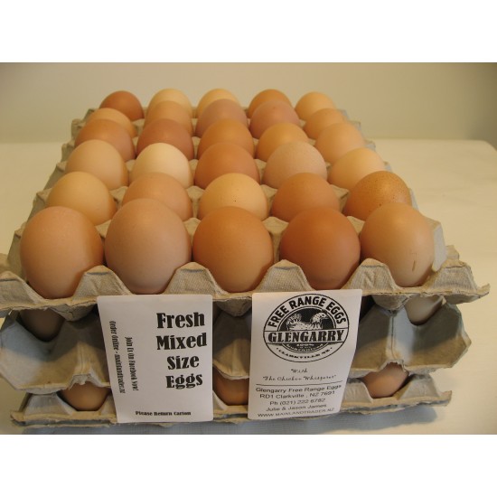 3 Trays Free Range Eggs -  Free Delivery Rangiora & Kaiapoi