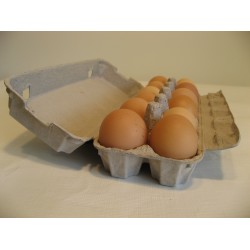 Ten Dozen Free Range Eggs - Free Delivery