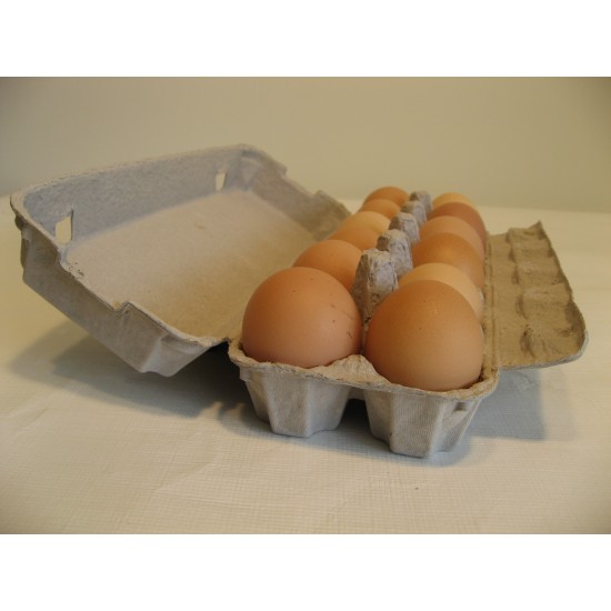 Ten Dozen Free Range Eggs - Free Delivery